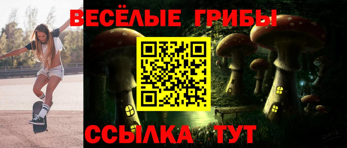 Михайловка  Псилоцибиновые грибы мицелий  что такое наркотик  Вход с VPN 